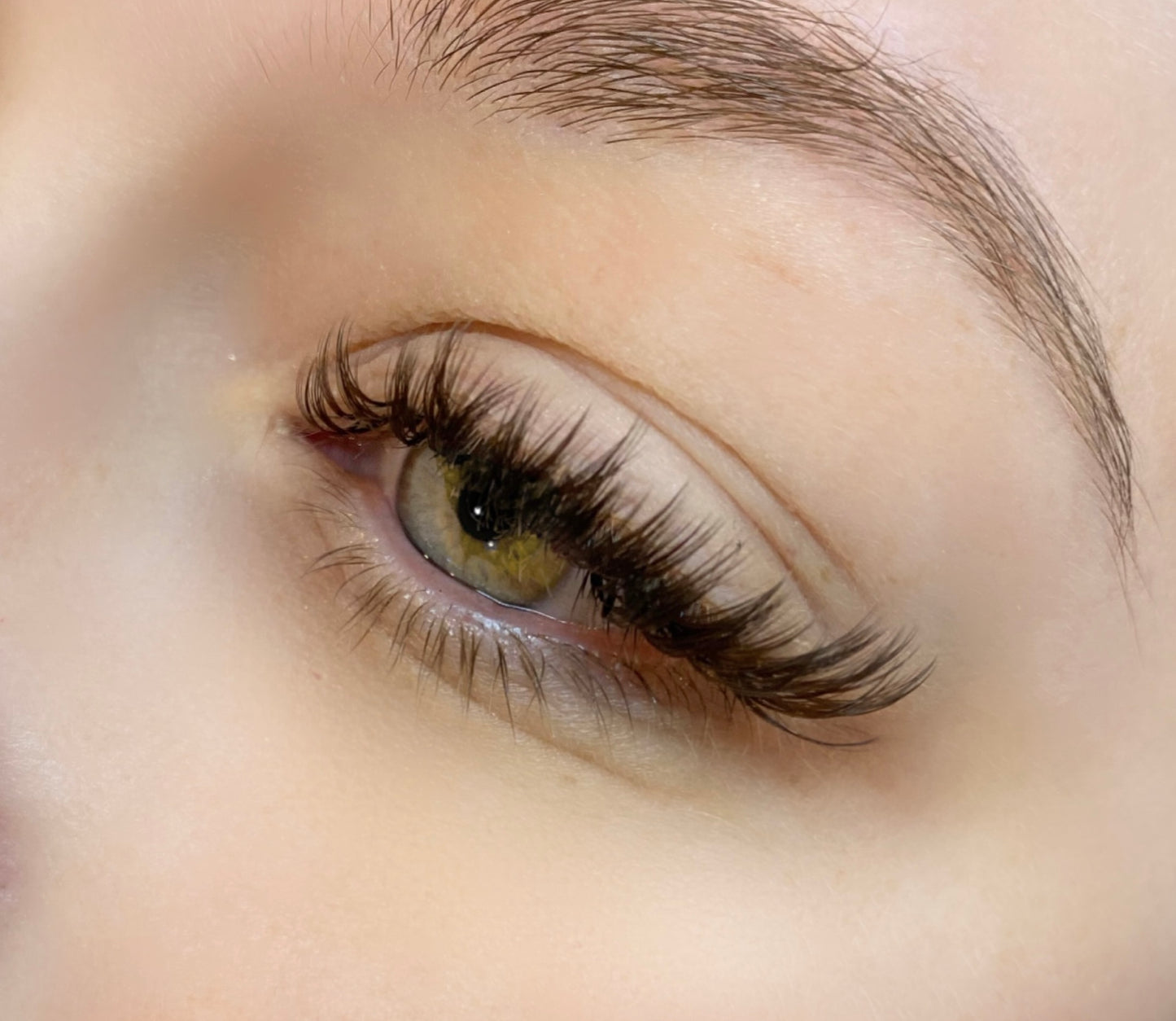 Winked Brown Mixed Lash Trays (8mm-15mm) .05 CC