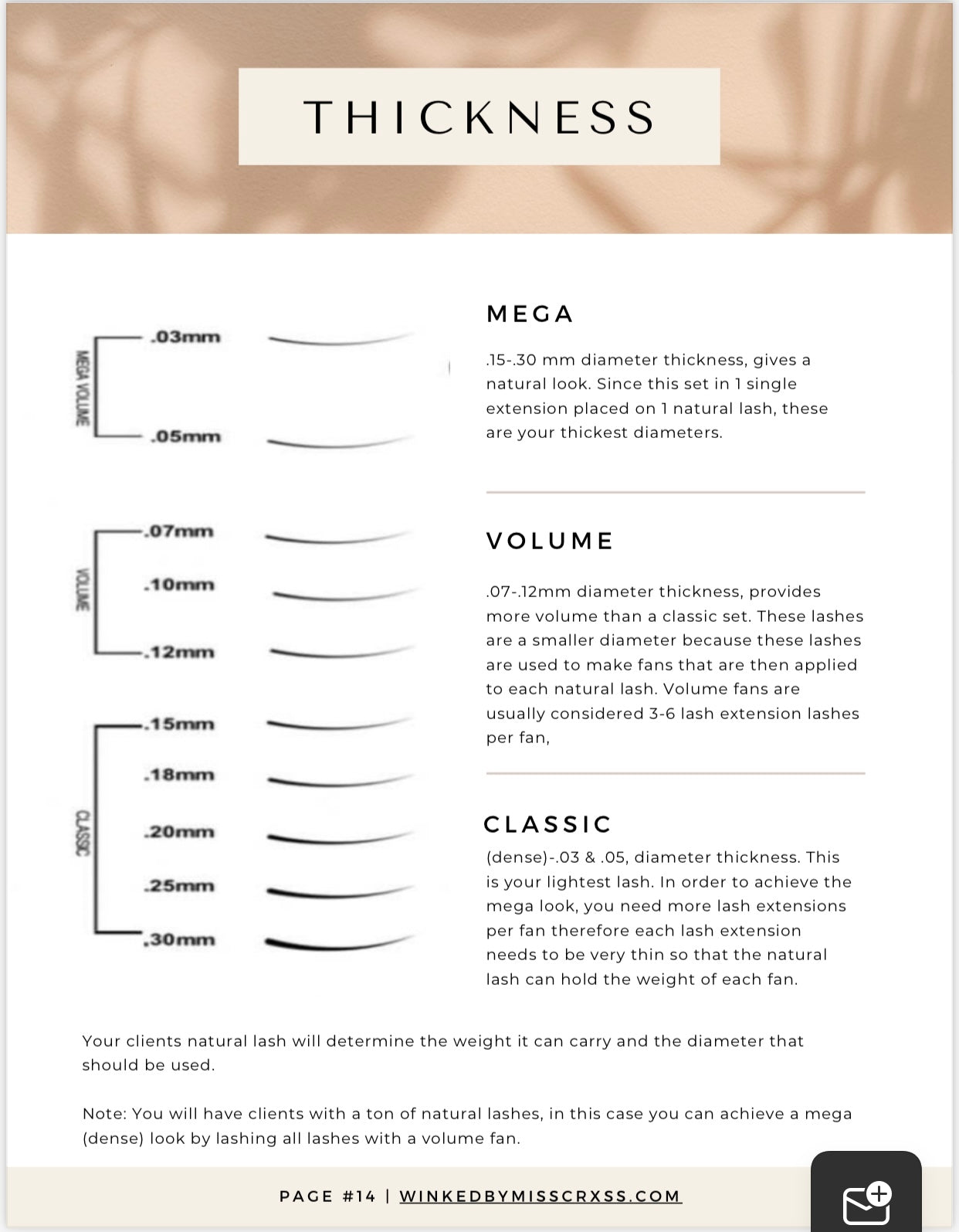 The Beginners Guide to Lash Extensions-Digital